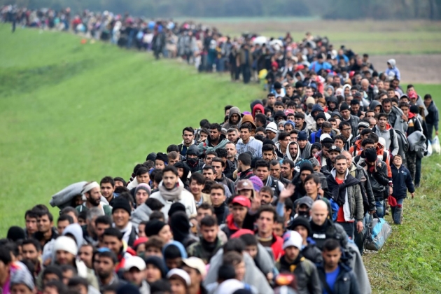 Пограничные службы Сербии не справляются с увеличением потока беженцев