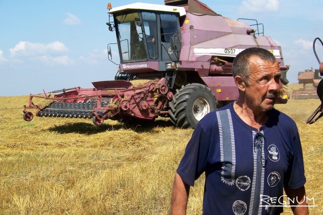 Урожай зерна в Удмуртии снизился на 10 тыс. тонн из-за засухи