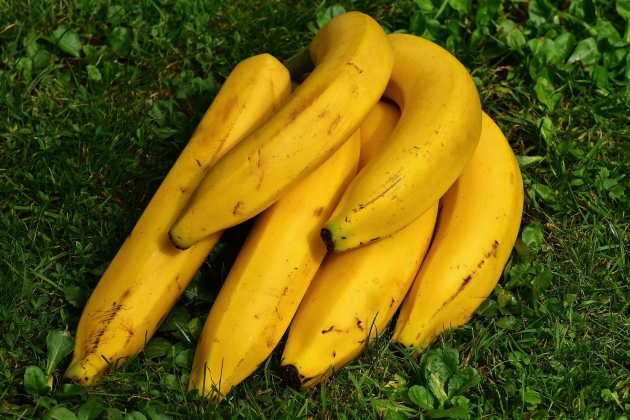 Детский сад в Ленобласти пытался купить «российские бананы»