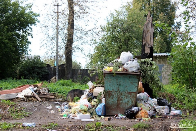 Как изменится оплата за вывоз мусора для жителей Ставрополья с 2017 года
