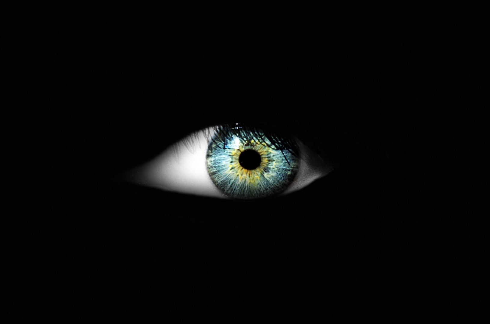 mast-and-picture-eyes-black-background