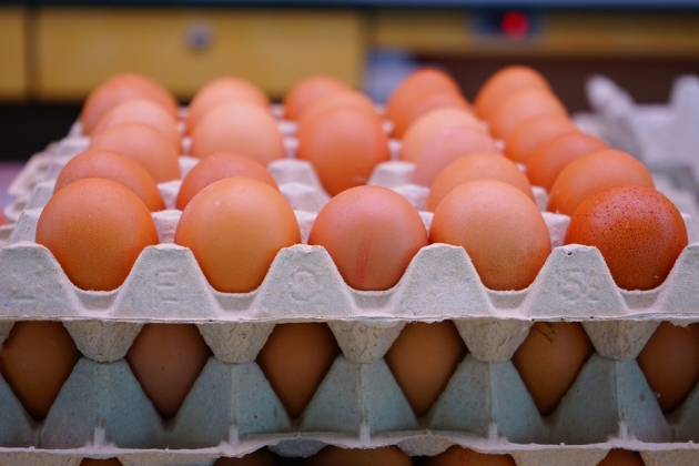 В Ленобласти в 2017 году запустят завод по переработке яиц