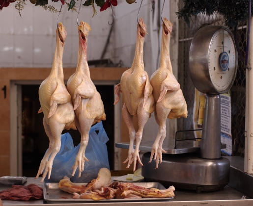 Евросоюз запретил ко ввозу мясо птицы с Украины