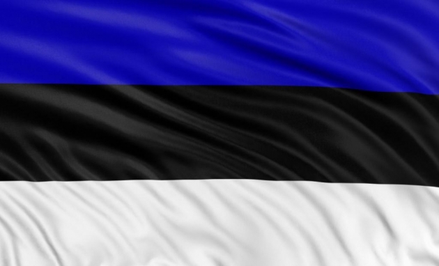 Эстонцы-эсэсовцы освобождали Эстонию?!