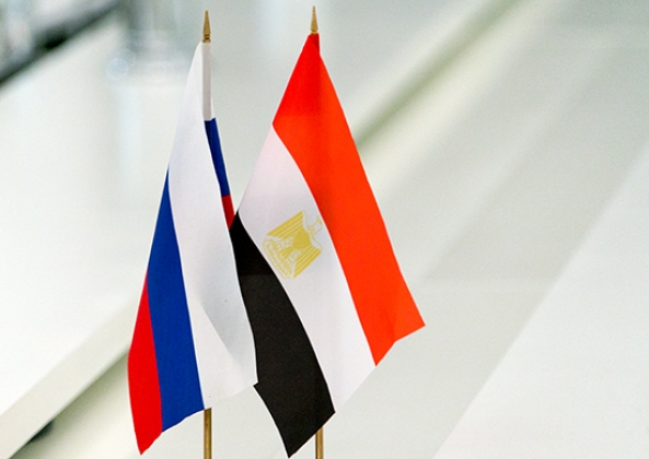 Состоялся разговор между министрами иностранных дел России и Египта