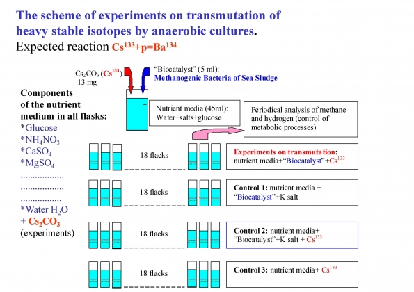 Рис. 13. Схема эксперимента по получению изотопа бария-134 из изотопа цезия-133 с помощью анаэробной культуры