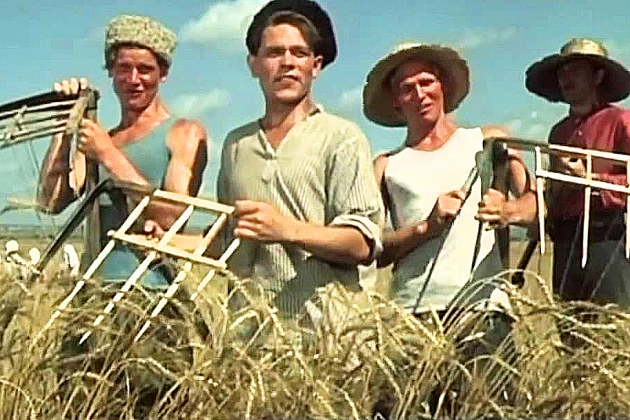 Кубанские аграрии