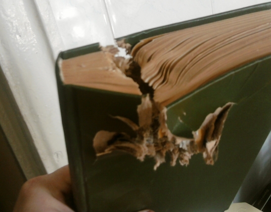 Книга, пробитая осколком после обстрела Луганска украинскими войсками