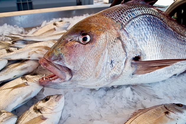 Море есть, а рыбы нет: Дагестан производит много овощей и мало рыбы
