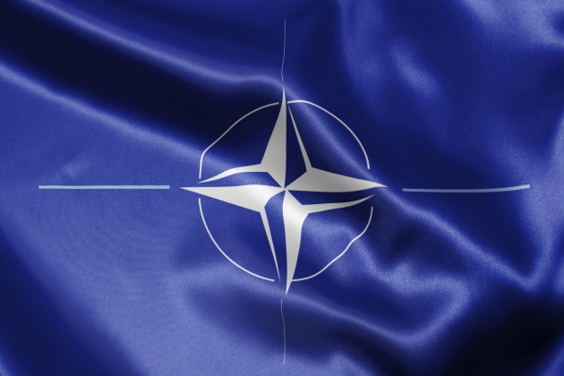 СМИ США: НАТО отложило переговоры с Украиной по вопросам своей ПРО