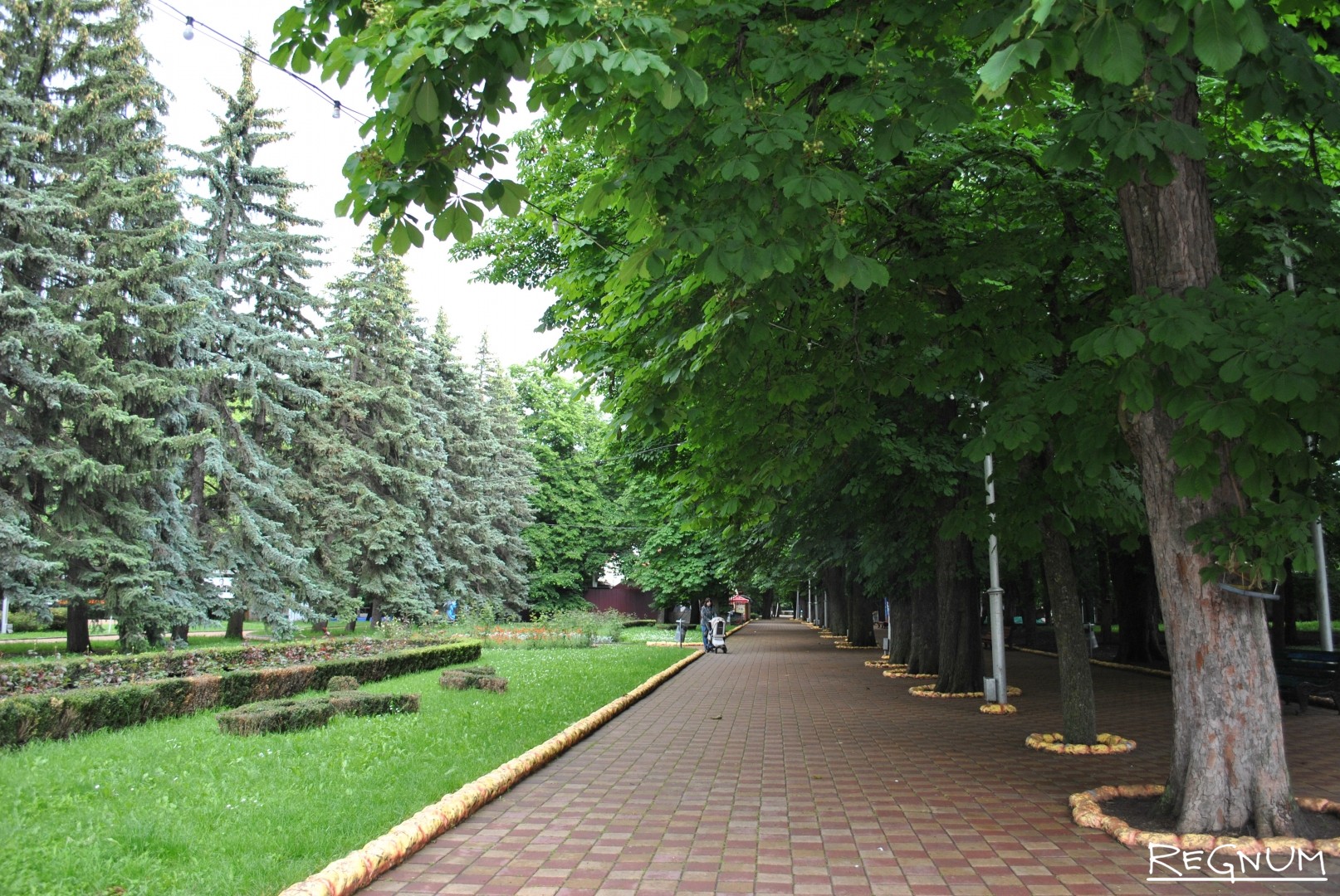 Ставрополь центр парк