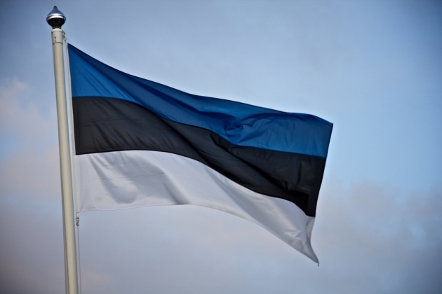 Эстонский флаг