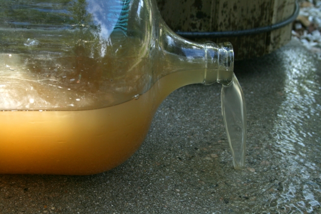 Около ста человек отравились грязной питьевой водой в Ленобласти