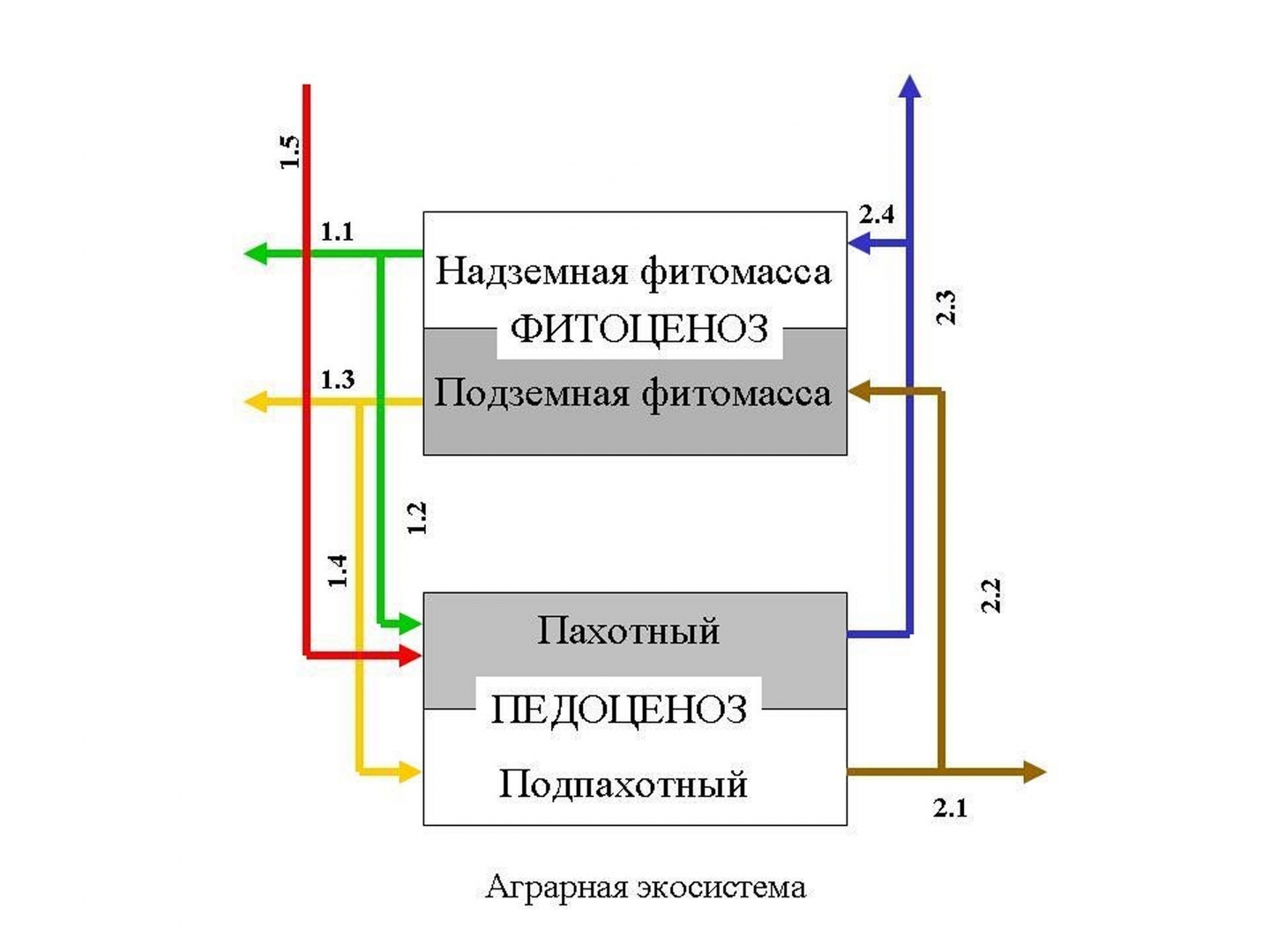 Изучите фрагмент экосистемы представленный на рисунке и выполните задания выберите из приведенного