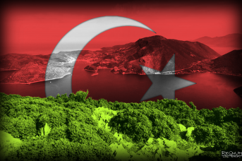 1920-1921 гг.: Закавказье и отношения с Турцией