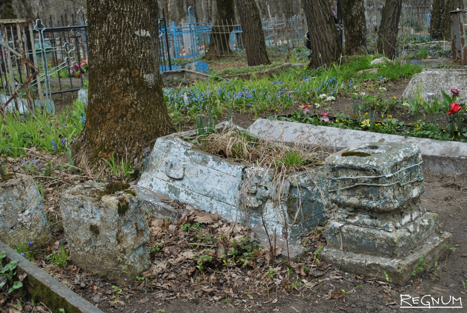 Это наш позор»: братские могилы, заброшенные памятники героям - Виктория Ивановская - ИА REGNUM