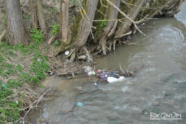 Скопление мусора в реке