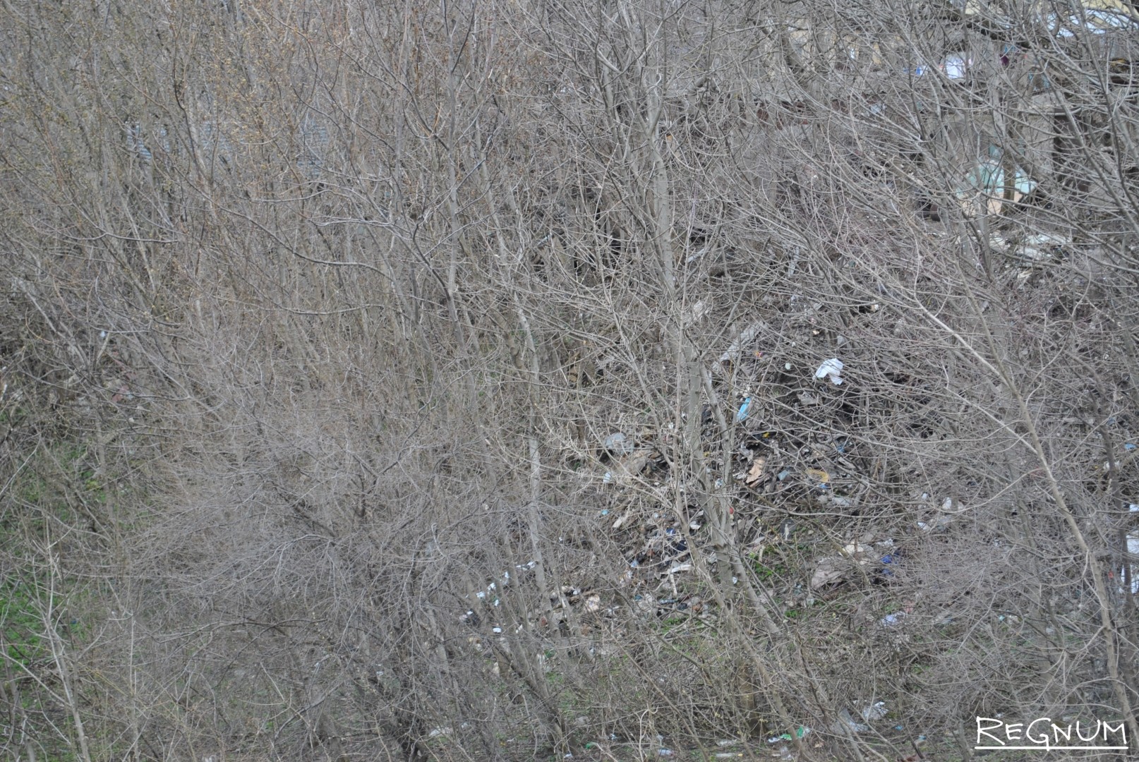 Свалка на склоне возле частного сектора Ташлы. Вид с улицы Вавилова