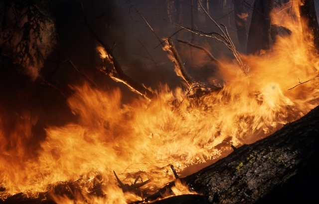 Пожарные в Хабаровском крае борются с палами и пожарами в лесах