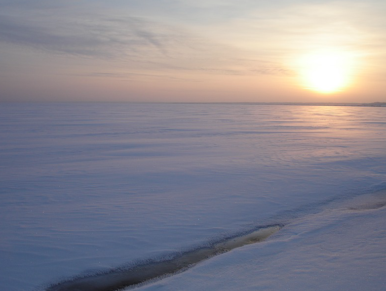 Соленое озеро алтайский край яровое фото