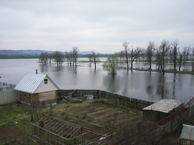 В двух районах Коми паводок подтопляет жилые дома