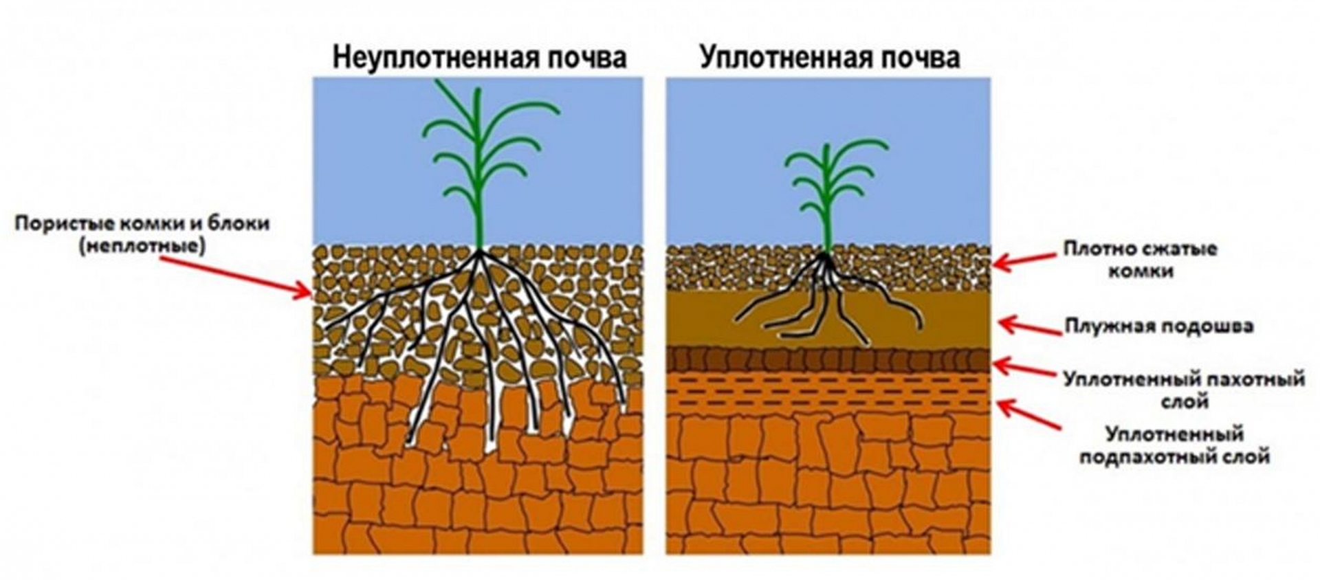 Уплотнение почвы