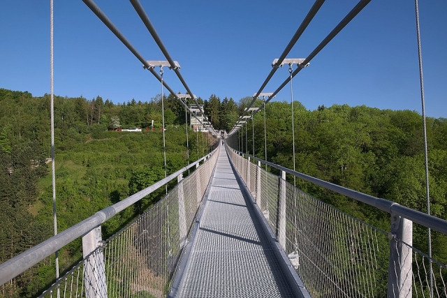 Самый длинный пешеходный подвесной мост открыли в Швейцарии