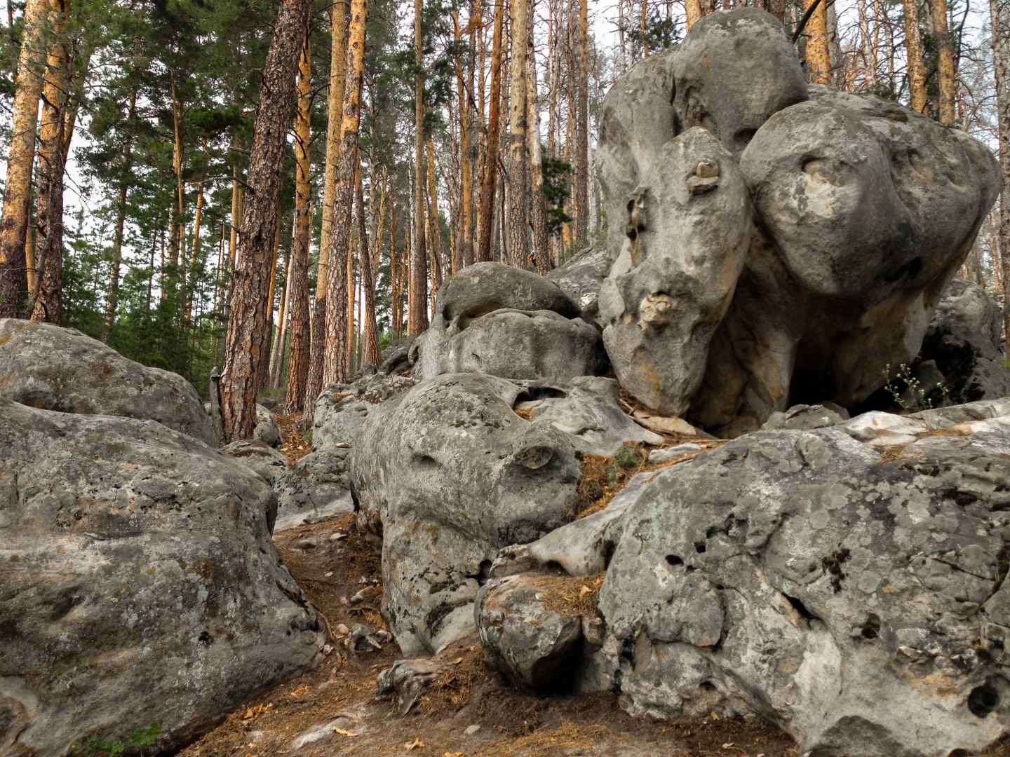 Хвалынск каменный лес