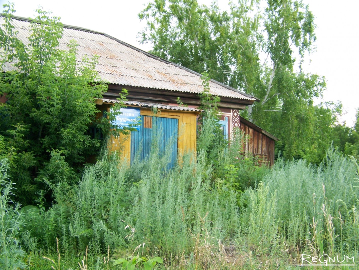 Деревни Алтайского Края Фото