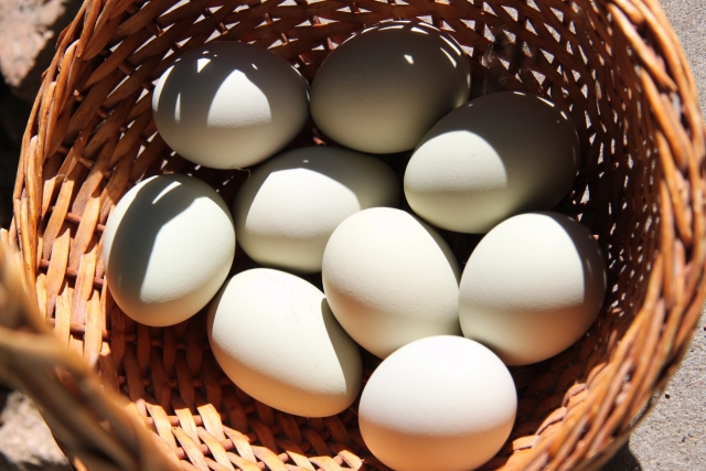 Яйца в одной корзине