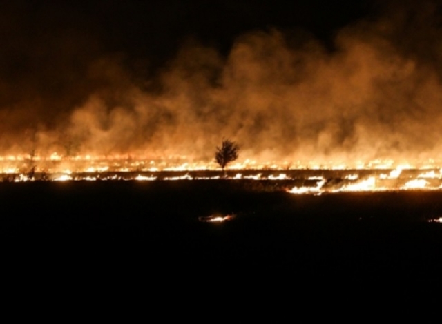 Более 150 строений уничтожено природными пожарами в Волгоградской области