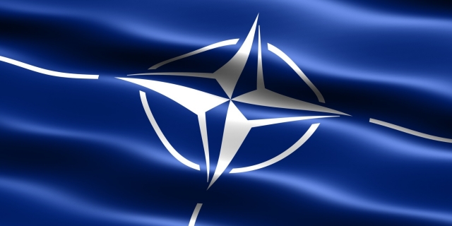 Польшу и Турцию в НАТО свяжет нелюбовь к Германии?