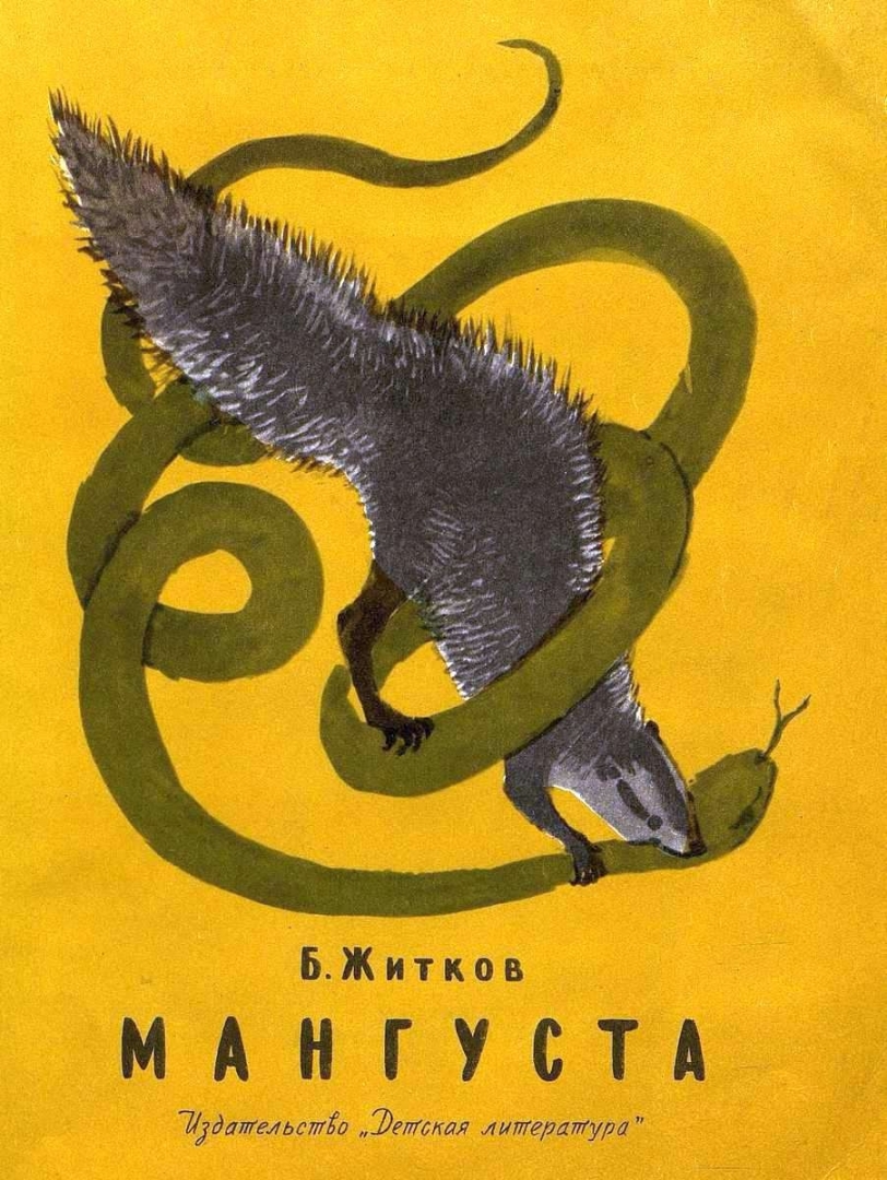 Житков мангуста 1965