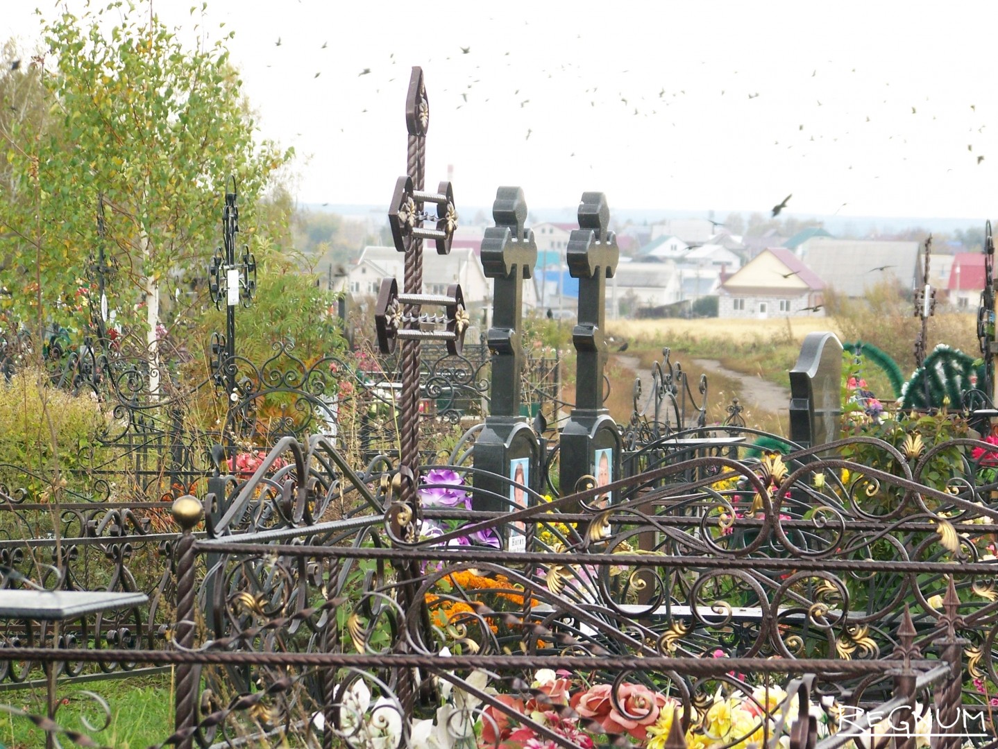 Новосибирск новое кладбище Березовая роща