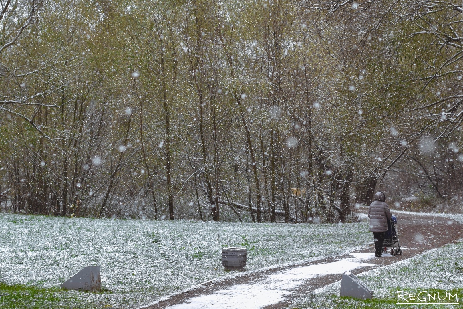 В россии выпадет снег. Первый снег в Москве. Первый снегопад в Москве. Первый снег в московских парках. Легкий снег в Москве.