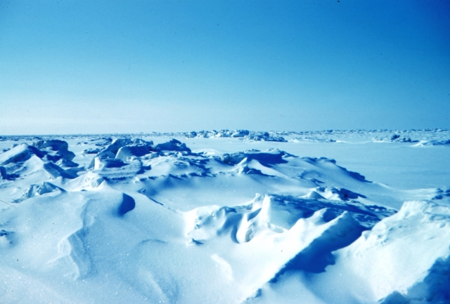 США создают предпосылки для своего проигрыша в Арктике