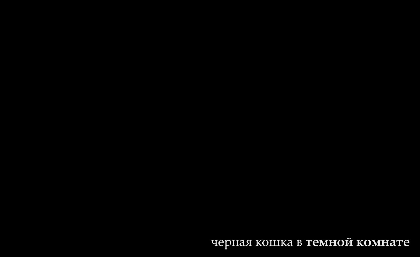 Найди черного. Черная кошка в темной комнате. Чёрная кошка в чёрной комнате. В черной черной комнате. Акошка в темном комнате.