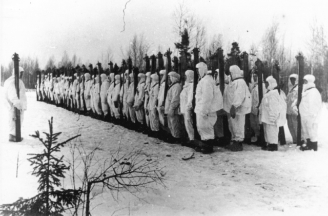 Лыжные батальоны в дивизиях РККА 