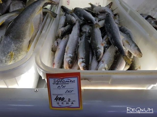 Один из брендов рыбного Сахалина — корюшка-зубатка — по карману теперь только богачам 