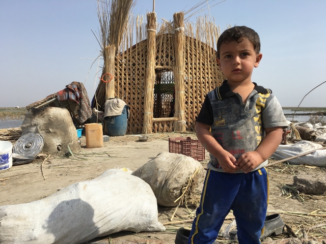 ЮНИСЕФ: Беженцами от войны с исламистами в Ираке стали 1,3 млн детей