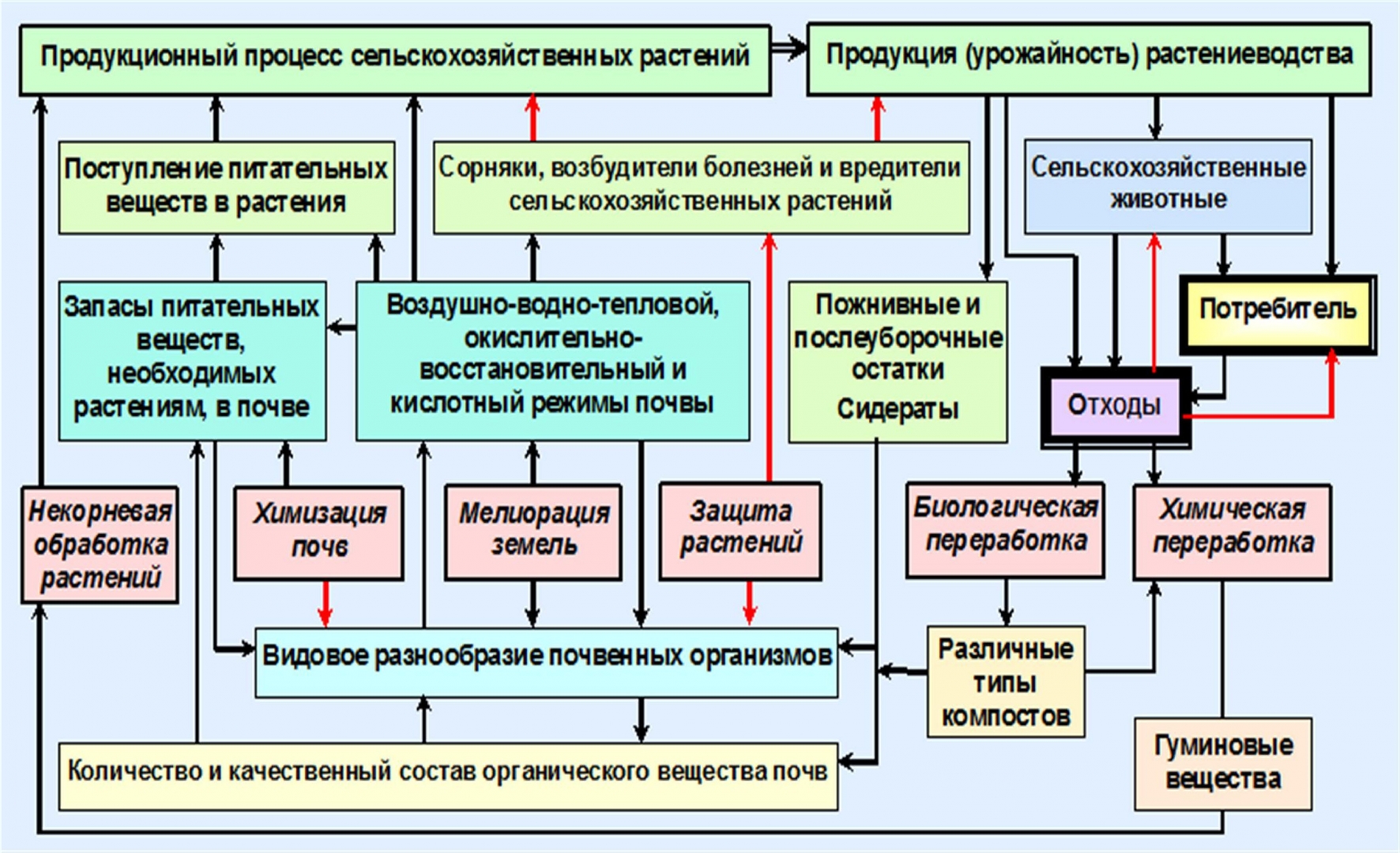 Процессы в сельской. Технологические процессы в сельском хозяйстве. Продукционный процесс растений. Схема бизнес процесса в сельском хозяйстве. Бизнес процессы в сельском хозяйстве.