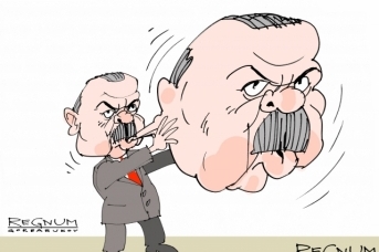 Эрдоган. Александр Горбаруков © ИА REGNUM