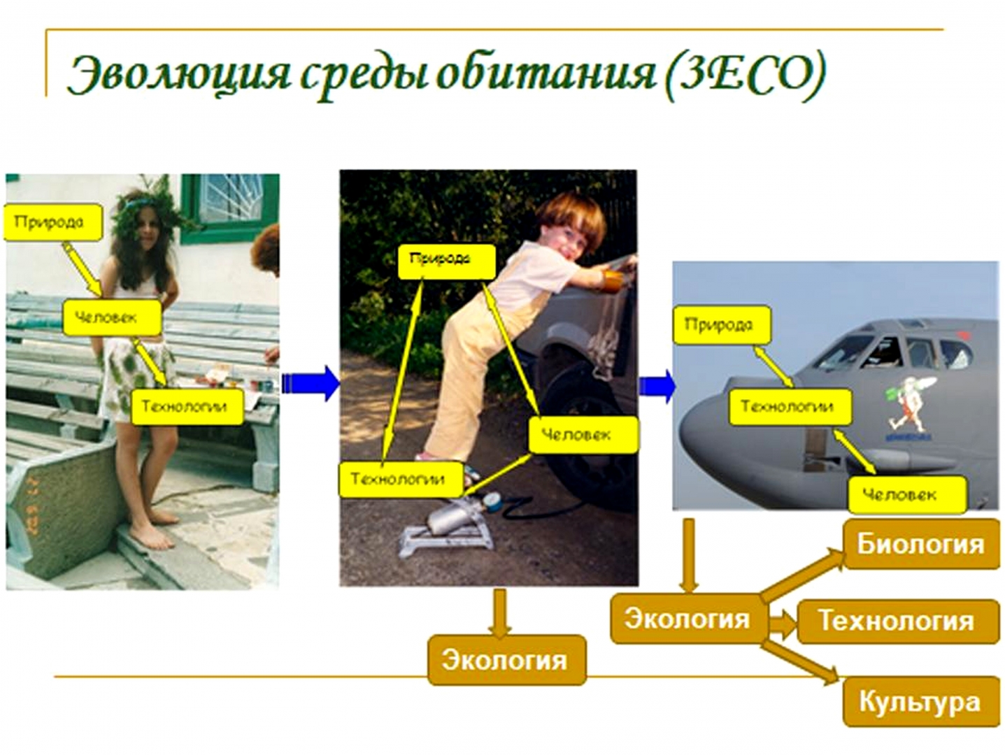 Эволюция среды обитания и переход к техносфере презентация