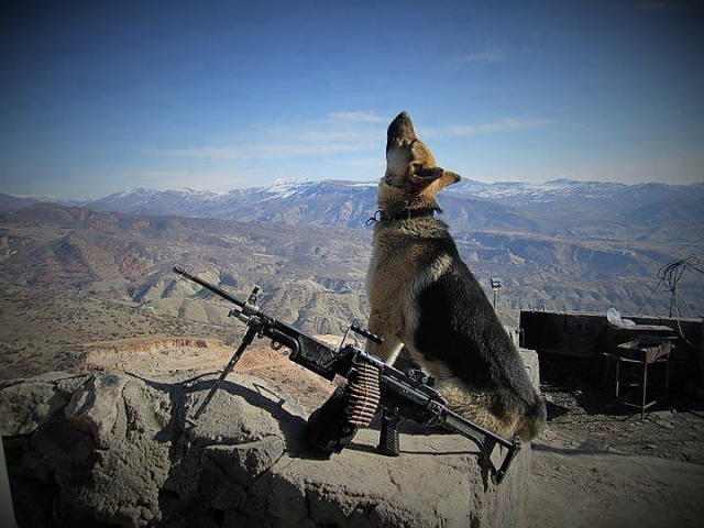 Граница с Афганистаном 