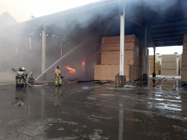 Локализован пожар на деревообрабатывающем заводе в Ленобласти