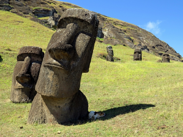 Статуи моаи. Остров Пасхи 