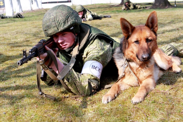 В Калининграде на Балтфлот впервые поступили минно-разыскные собаки