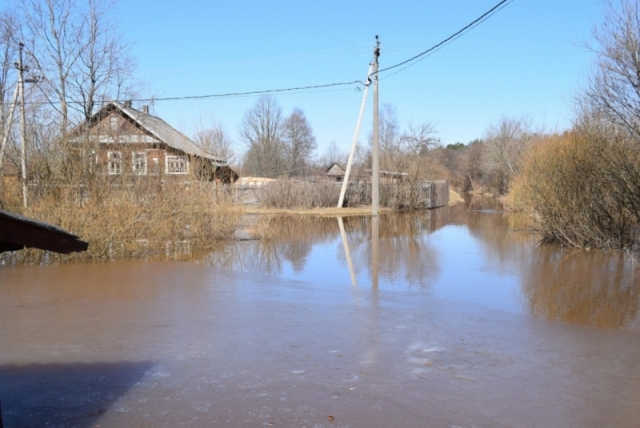 Вода прибывает: в новгородских Крестцах удвоилось число подтопленных дворов