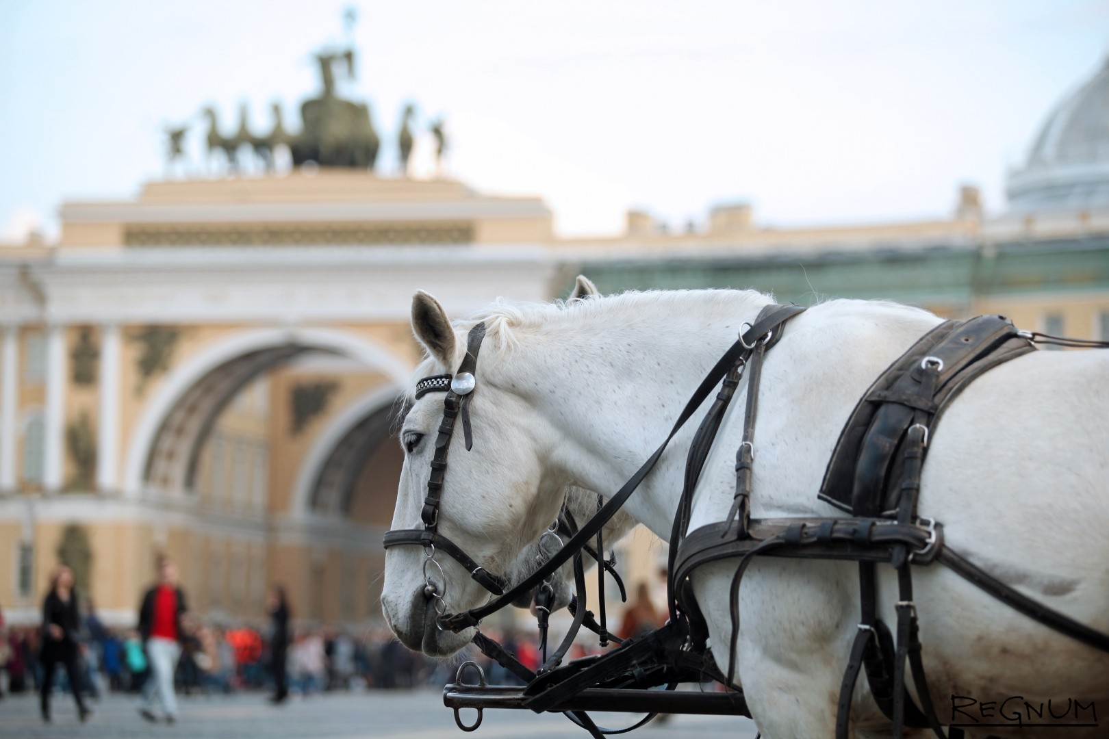 Дворцовая площадь в Санкт Петербурге кони