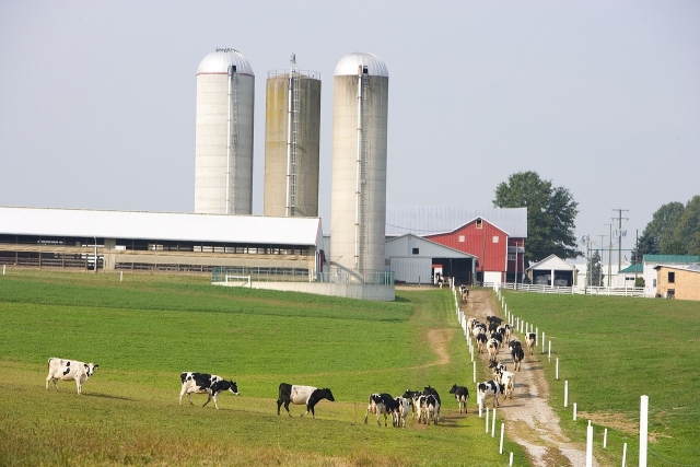 Dairy farm